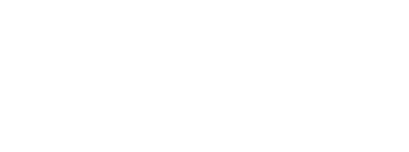 Logo Rodwin